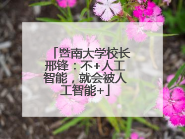 暨南大学校长邢锋：不+人工智能，就会被人工智能+