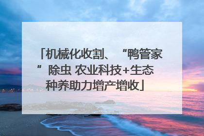 机械化收割、“鸭管家”除虫 农业科技+生态种养助力增产增收