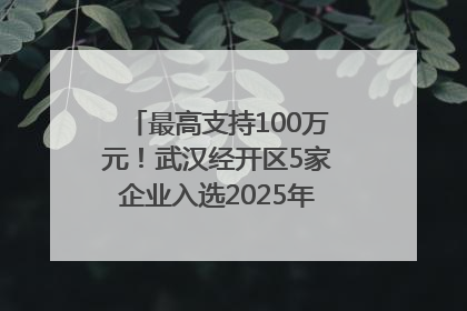 最高支持100万元！武汉经开区5家企业入选2025年度武汉市重点研发计划拟立项项目名单