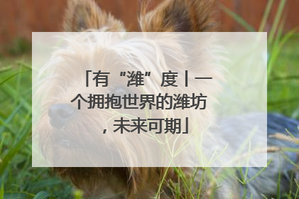 有“潍”度丨一个拥抱世界的潍坊，未来可期