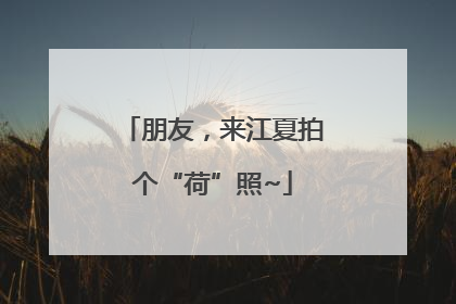 朋友，来江夏拍个“荷”照~