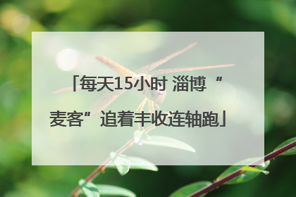 每天15小时 淄博“麦客”追着丰收连轴跑
