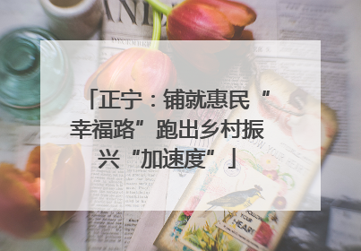 正宁：铺就惠民“幸福路”跑出乡村振兴“加速度”