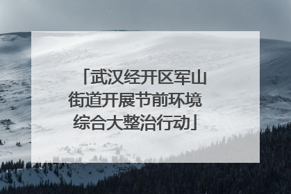 武汉经开区军山街道开展节前环境综合大整治行动