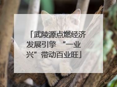 武陵源点燃经济发展引擎 “一业兴”带动百业旺