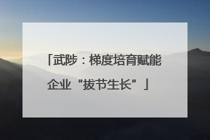 武陟：梯度培育赋能企业“拔节生长”