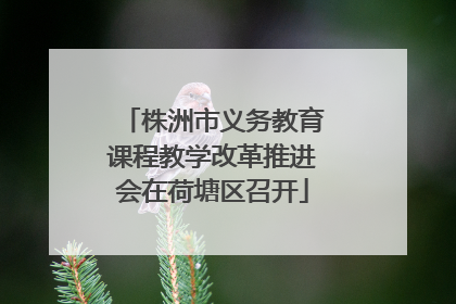 株洲市义务教育课程教学改革推进会在荷塘区召开