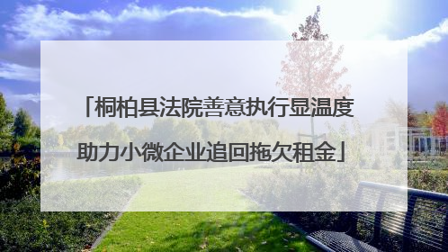 桐柏县法院善意执行显温度 助力小微企业追回拖欠租金