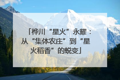 桦川“星火”永耀：从“集体农庄”到“星火稻香”的蜕变
