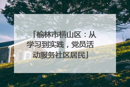 榆林市横山区：从学习到实践，党员活动服务社区居民