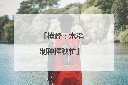 横峰：水稻制种插秧忙