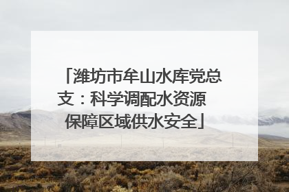 潍坊市牟山水库党总支：科学调配水资源 保障区域供水安全