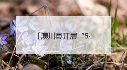 潢川县开展“5·8世界红十字日”暨博爱周主题活动