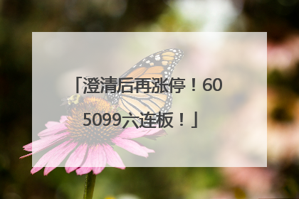 澄清后再涨停！605099六连板！