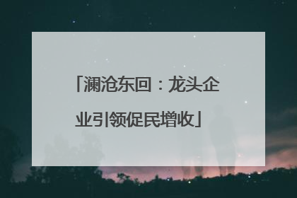 澜沧东回：龙头企业引领促民增收
