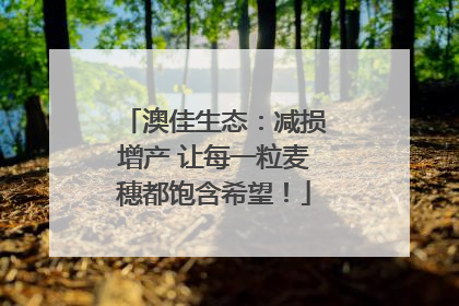 澳佳生态：减损增产 让每一粒麦穗都饱含希望！