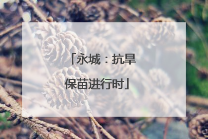 永城:抗旱保苗进行时