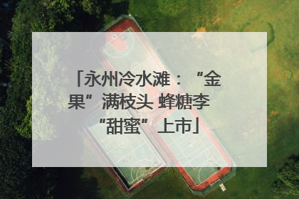 永州冷水滩：“金果”满枝头 蜂糖李“甜蜜”上市