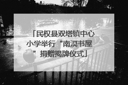 民权县双塔镇中心小学举行“南溟书屋”捐赠揭牌仪式