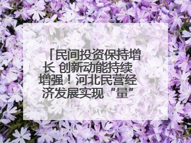 民间投资保持增长 创新动能持续增强！河北民营经济发展实现“量”“质”双提升