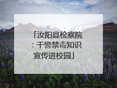 汝阳县检察院：干警禁毒知识宣传进校园
