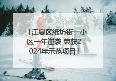 江夏区纸坊街一小区一年逆袭 荣获2024年示范项目