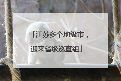 江苏多个地级市，迎来省级巡查组