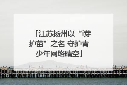江苏扬州以“i芽护苗”之名 守护青少年网络晴空