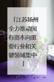 江苏扬州全力推动国有资本向重要行业和关键领域集中
