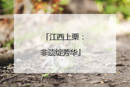 江西上栗：非遗绽芳华