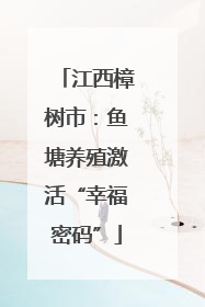 江西樟树市：鱼塘养殖激活“幸福密码”