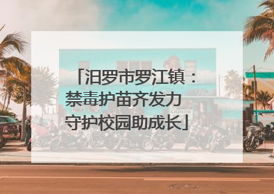 汨罗市罗江镇：禁毒护苗齐发力 守护校园助成长