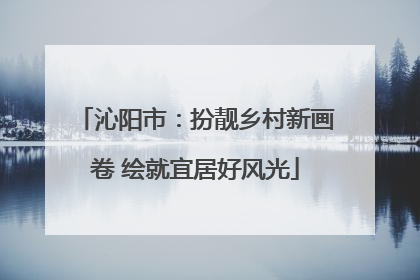 沁阳市：扮靓乡村新画卷 绘就宜居好风光