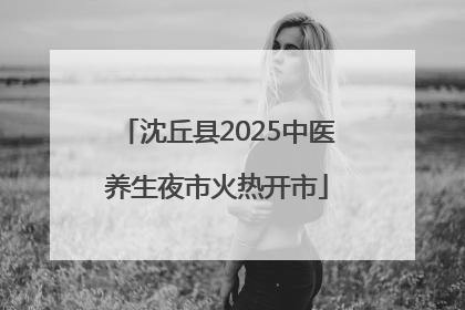 沈丘县2025中医养生夜市火热开市