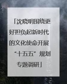 沈晓明围绕更好担负起新时代的文化使命开展“十五五”规划专题调研