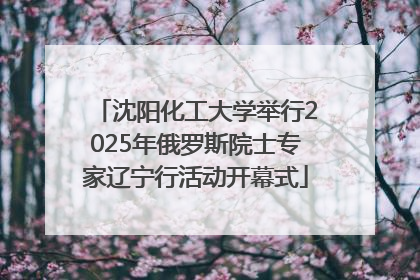 沈阳化工大学举行2025年俄罗斯院士专家辽宁行活动开幕式