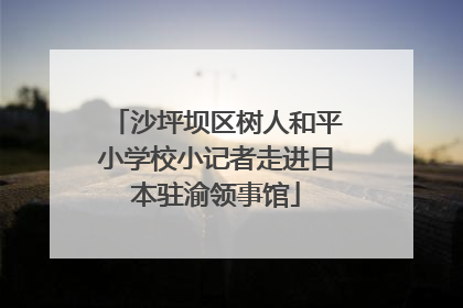 沙坪坝区树人和平小学校小记者走进日本驻渝领事馆