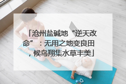 沧州盐碱地“逆天改命”：无用之地变良田，候鸟翔集水草丰美