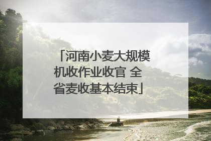 河南小麦大规模机收作业收官 全省麦收基本结束