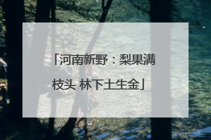 河南新野：梨果满枝头 林下土生金