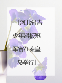 河北省青少年滑板冠军赛在秦皇岛举行