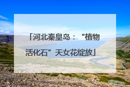 河北秦皇岛：“植物活化石”天女花绽放