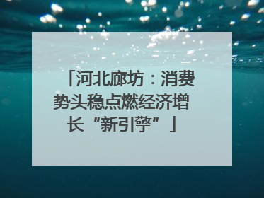 河北廊坊：消费势头稳点燃经济增长“新引擎”