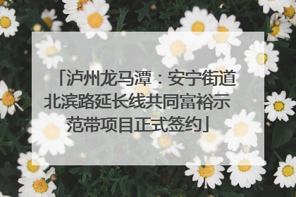泸州龙马潭：安宁街道北滨路延长线共同富裕示范带项目正式签约