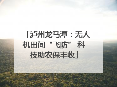 泸州龙马潭：无人机田间“飞防” 科技助农保丰收