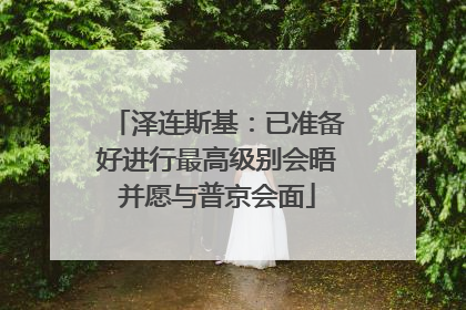 泽连斯基：已准备好进行最高级别会晤并愿与普京会面