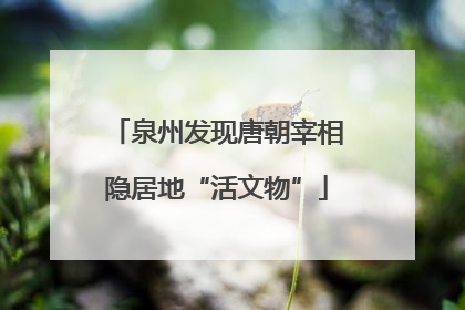 泉州发现唐朝宰相隐居地“活文物”