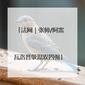 法网｜张帅/阿雷瓦洛晋级混双四强