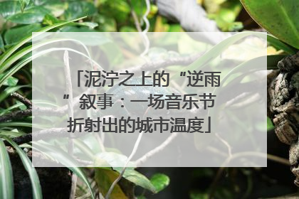 泥泞之上的“逆雨”叙事：一场音乐节折射出的城市温度
