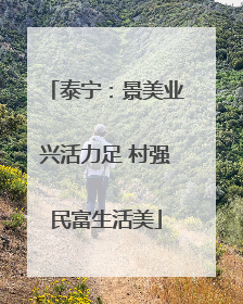 泰宁：景美业兴活力足 村强民富生活美